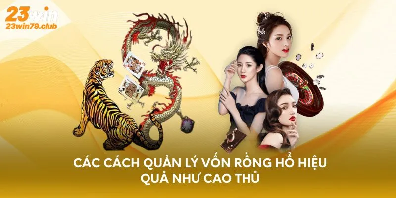 Các cách quản lý vốn Rồng Hổ hiệu quả như cao thủ