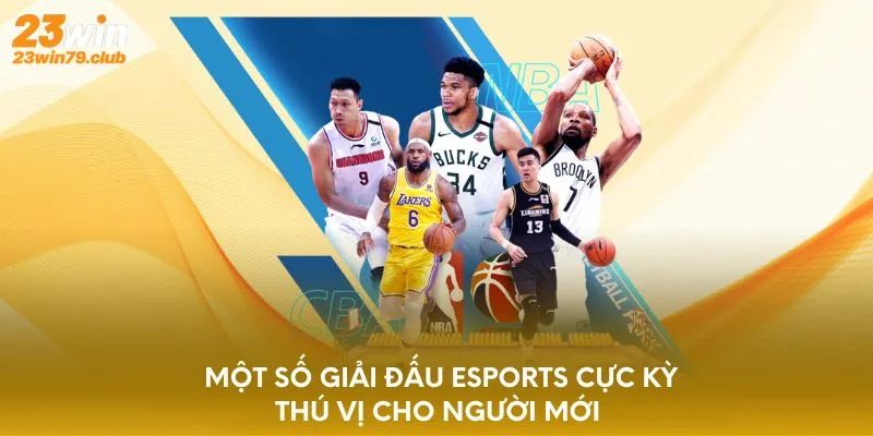 Một số giải đấu Esports cực kỳ thú vị cho người mới